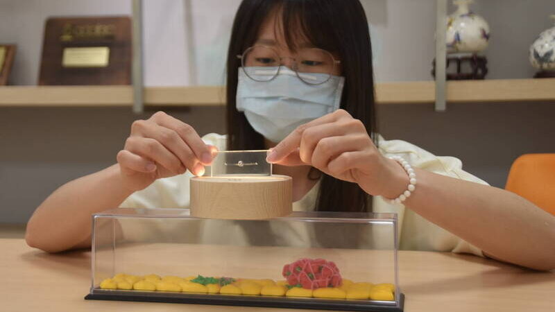 實驗動物減量成國際趨勢 國研院用器官晶片、仿生教具減少犧牲